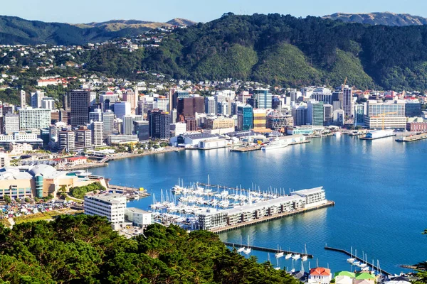 Viajar a Wellington en enero