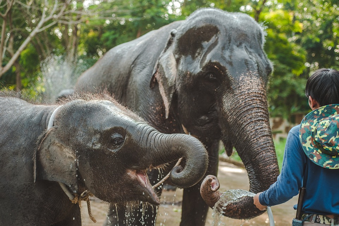 Viajar barato a Tailandia en abril