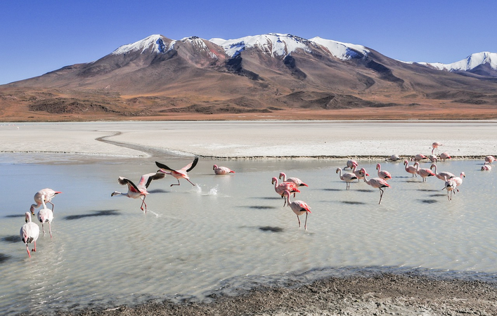 Viajar barato a BOLIVIA en septiembre